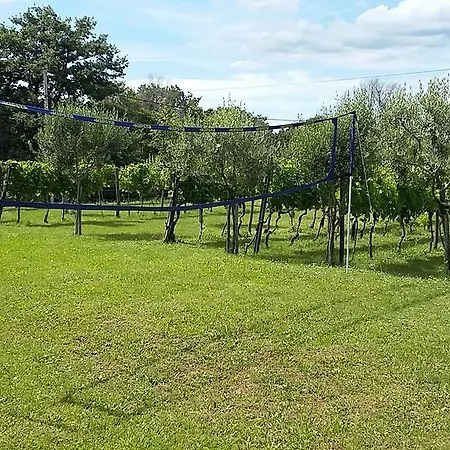Ivana Labin (Istria)