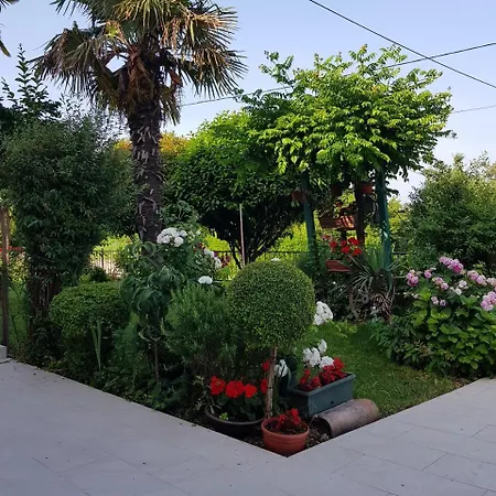 Ivana * Labin (Istria)
